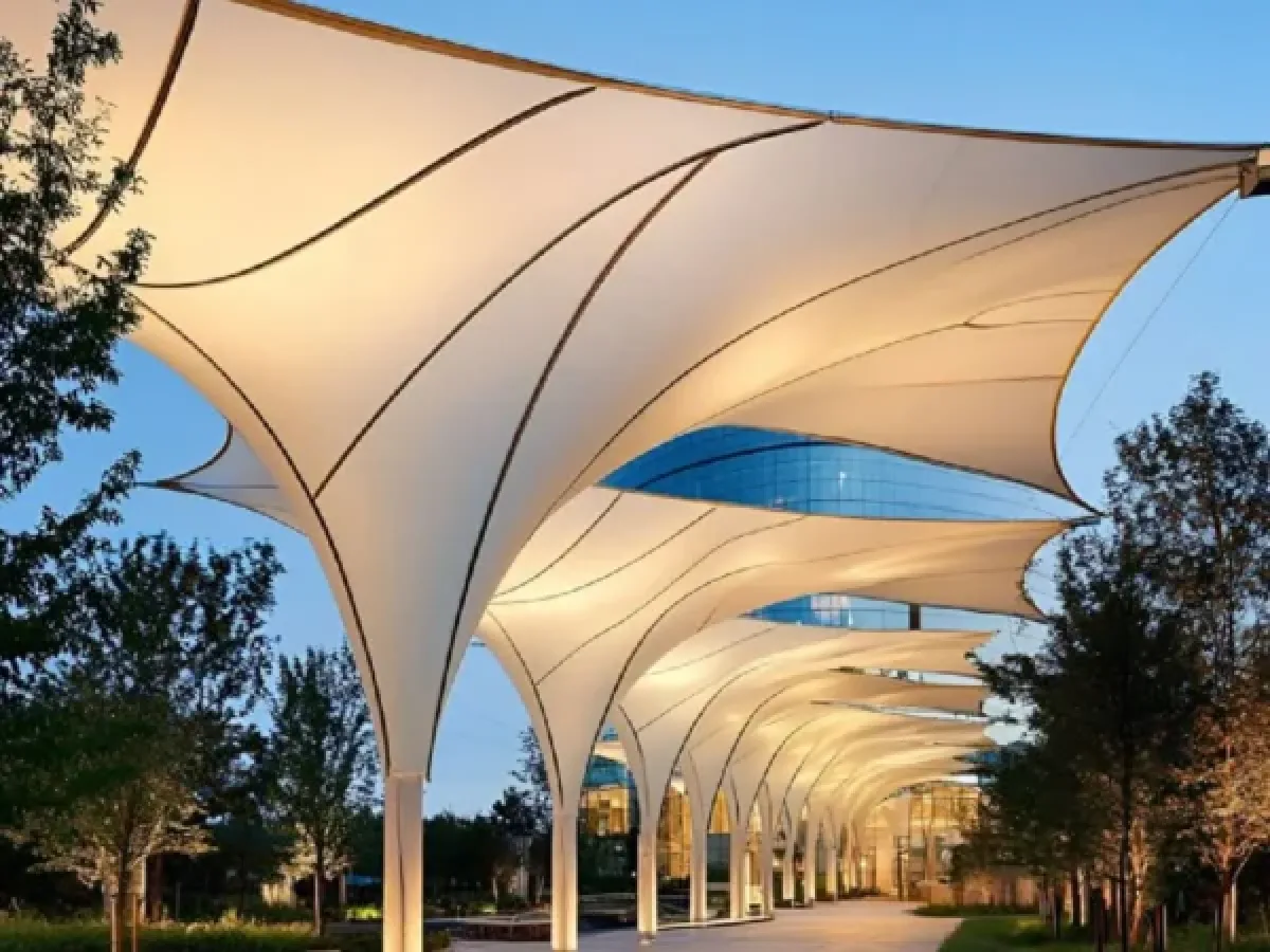 New Project - 2026-01-23T122455.555